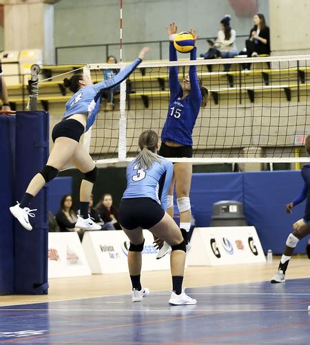 Volleyball Montreal Carabins Vs UQAM Citadins Volleyball Flickr