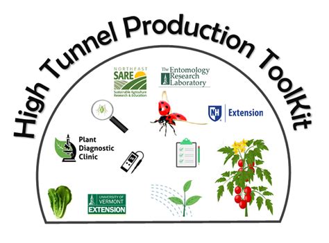 High Tunnel Pest Management Univeristy Of Vermont Entomology Research Laboratory