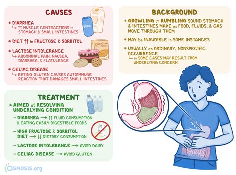 Borborygmi: What Is It, Causes, Treatment | Osmosis