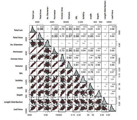 Phenotypic Correlation Matrix Between Plant Architectural Traits