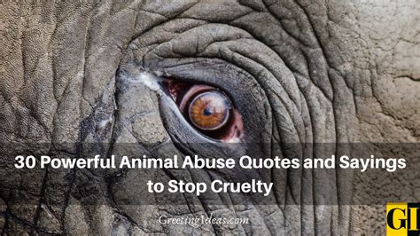 30 Powerful Animal Abuse Quotes And Sayings To Stop Cruelty