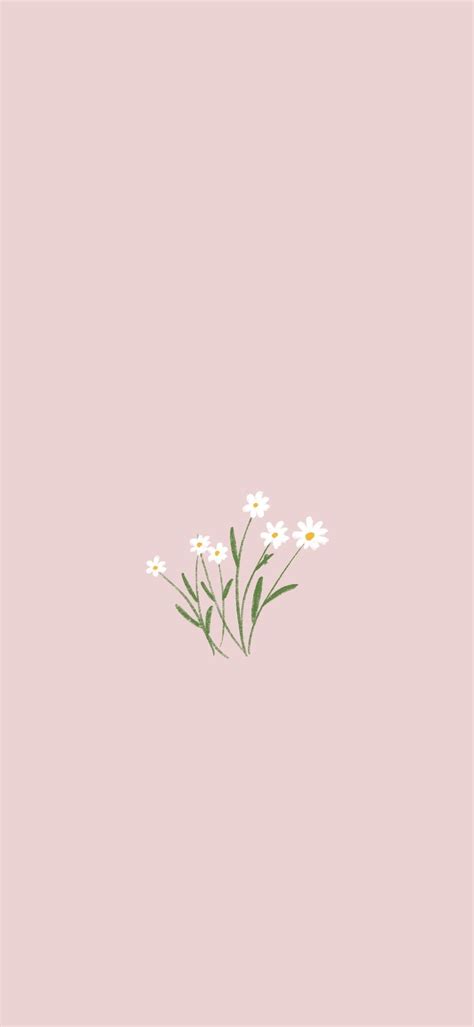 Spring Flower Minimalist Wallpapers Wallpaper Cave