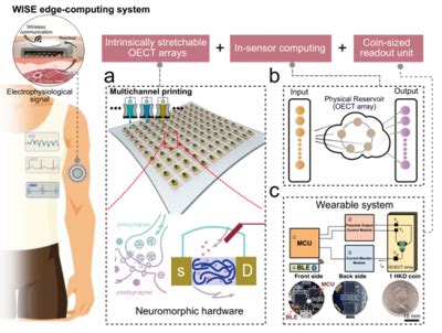 Hku Engineering Team Develops Soft Microelectronics Technologies