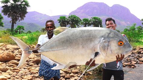 Kg Giant Trevally Fish Cooked Under Thick Layer Of Salt Village