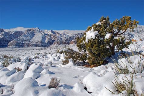 Winter in Red Rock Canyon Near Las Vegas. Nevada. Stock Photo - Image ...