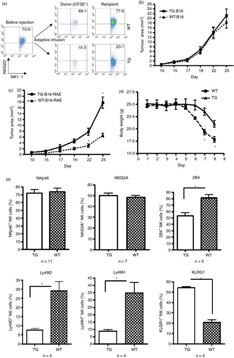 Cd4 Nkg2d T Cells Induce Nkg2d Down‐regulation In Natural Killer