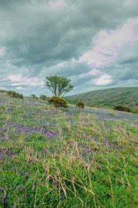 The Best Dartmoor Walks in Devon for All Hiking Levels