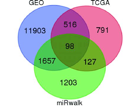 Venn Diagram For Identifying 98 Promising Target Genes Of MiR 99a 5p In