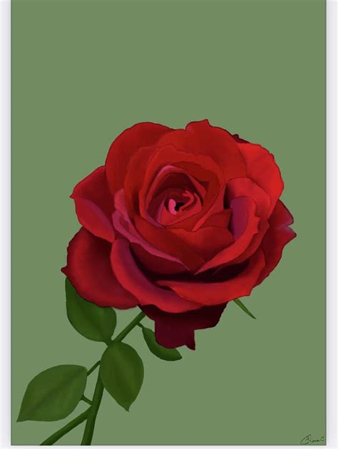 The Red Rose Digital Art By Shana Casebolt Pixels