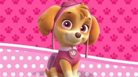 Stickers De La Perrita De Paw Patrol E Im Genes Para Imprimir Petlife