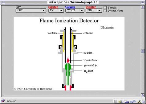 Flame Ionization Detector