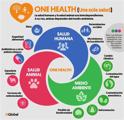 Una Sola Salud Concepto Que Se Promueve A Nivel Global Y Ser