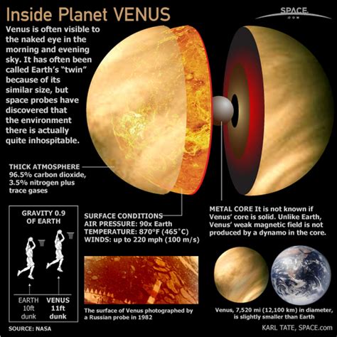 What Are The Distinguishing Characteristics Of Venus Socratic