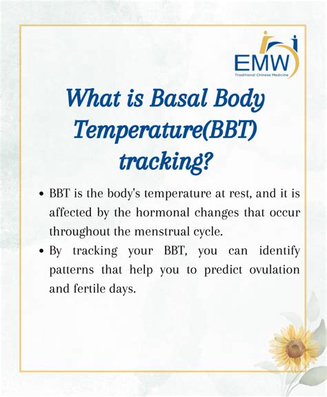 Basal Body Temperature & Fertility - EMW TCM