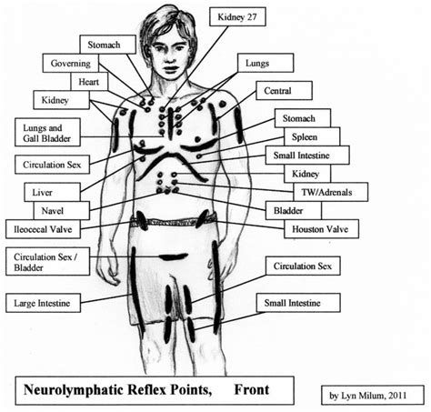 A Meridian Tonic - Neurolymphatic Reflex Massage | Energy medicine ...