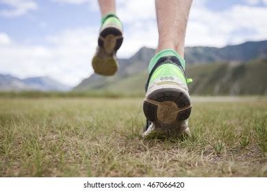 Rugby Player Preparing Kick Oval Ball Stock Photo 1163786491 Shutterstock