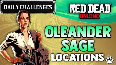 Red Dead Online Oleander Sage Location Rdr2 Daily Challenge Oleander Sage Picked Youtube