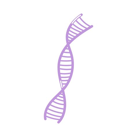 Dna Double Helix Vector Flat Hand Drawn Style Illustration On White