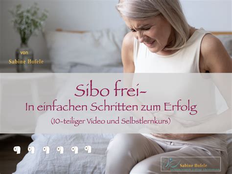 Sibo Frei In Einfachen Schritten Zum Erfolg Teiliger Video Und