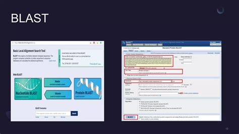 Homology Modeling Of Proteins Ppt PPT