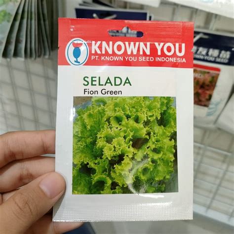 Jual KYS Benih SELADA HIJAU FION GREEN Isi 5 Gram Benih Selada