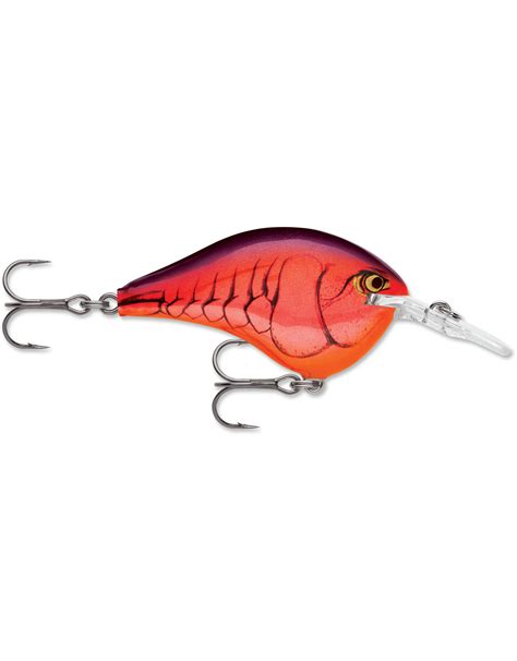 Rapala Dt Crankbait Rock Outdoors