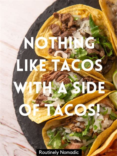 Tasty Taco Captions Routinely Nomadic