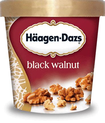 Black Walnut Ice Cream Häagen Dazs Retired Flavors