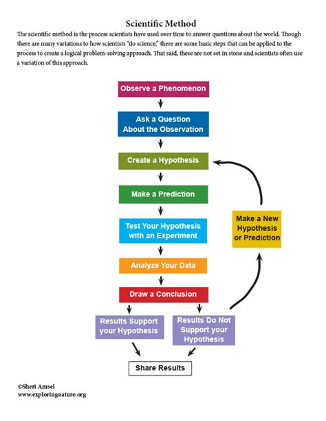 Scientific Method An Example Explanation And Mini Poster Free