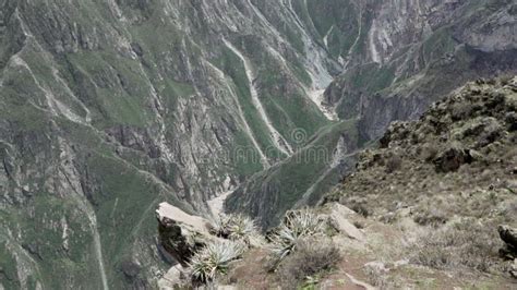 Mirador Cruz Del Condor At The Colca Canyon In Peru Stock Video Video