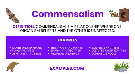 Commensalism