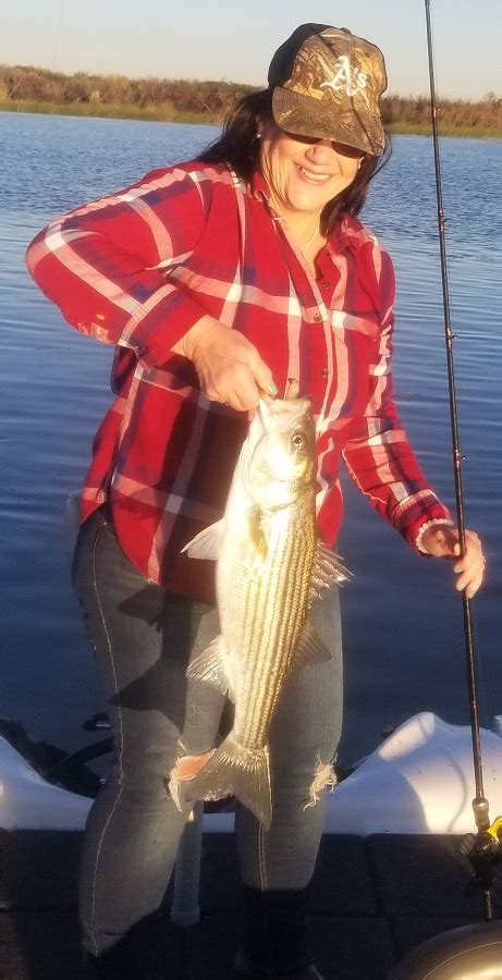 Comprehensive Delta Fishing Report | Cold Weather Striper Bite Dec 9 | Westernbass.com