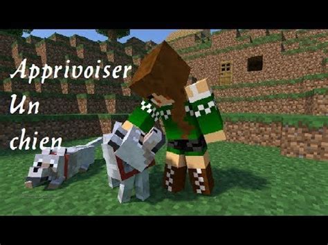 Tuto Comment Apprivoiser Un Loup Minecraft Youtube