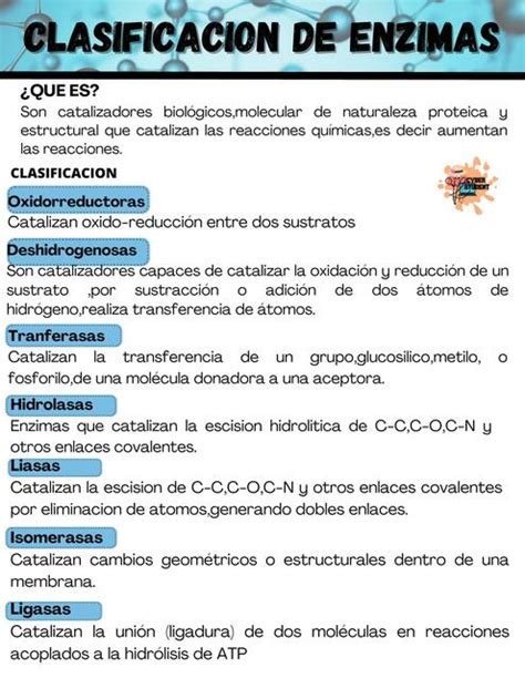 Clasificaci N De Enzimas Cyber Student Udocz