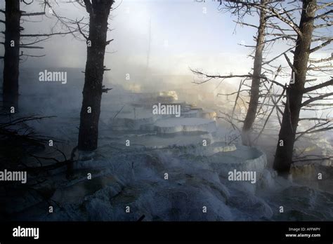 Yellowstone National Park Montana USA Stock Photo - Alamy