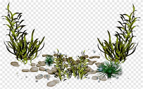 Green Leafed Plants Illustration Sea Algae Coral Plant Stem Grass