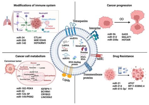 Ijms Free Full Text Extracellular Vesicle Evs Associated Non