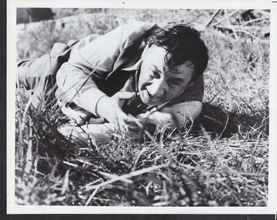 Philippe Noiret In Le Vieux Fusil 1975 The Old Gun Original Movie Photo