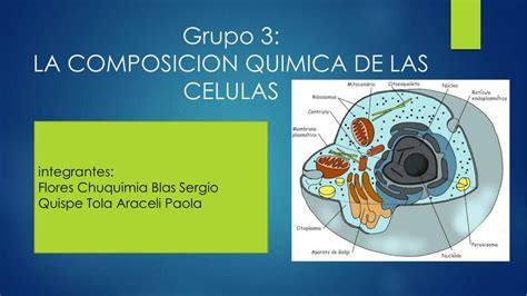 La Composición Química de las Células marcela moscoso nava uDocz