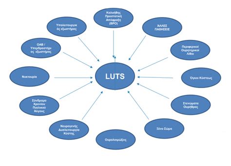 Γήρανση And Luts Ιωάννης Μπουζαλάς Ουρολόγος