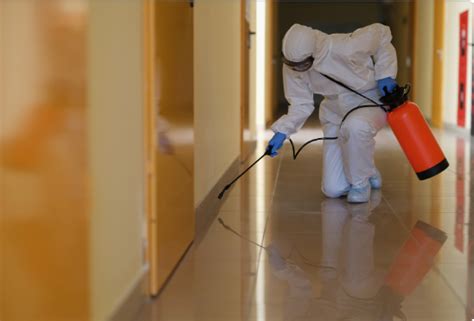 Fumigation Services In Nairobi Neptune Pest Control