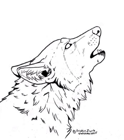 Lobos Desenhos Para Colorir