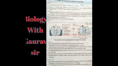 Biology Practical Study Of Osmosis By Potato Osmoscope YouTube