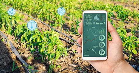 Smart Green Agritech Solutions