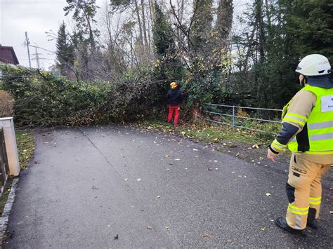 Einsatz Nr 65 25 11 2023 15 39 Uhr Wuhrweg Baum verlegt Straße