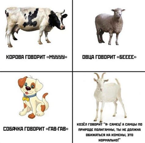 #мужскаялогика #кукусики | Веселые мемы, Смешные мемы, Мемы