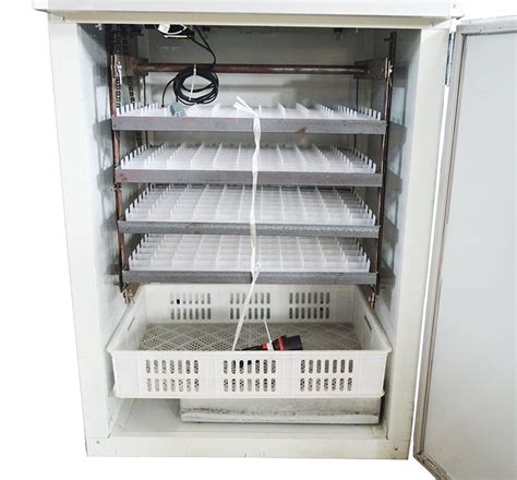 500 Egg Herostone 500 Commercial Automatic Incubator 528 At Rs 39500