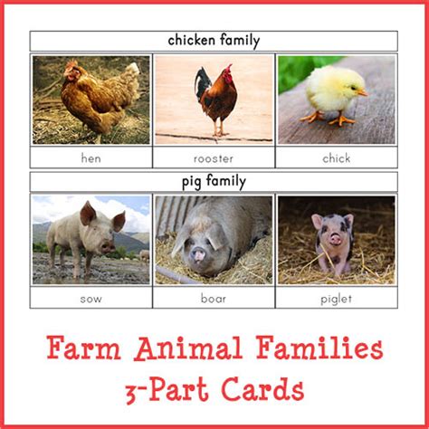 Farm Animal Families 3-Part Cards - Gift of Curiosity