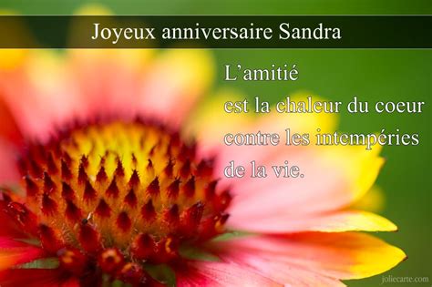 Carte Joyeux Anniversaire Sandra Cybercartes Fiolazoezoey Web