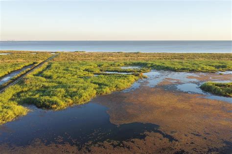 La côte du Golfe se prépare à de fortes pluies et à des crues soudaines